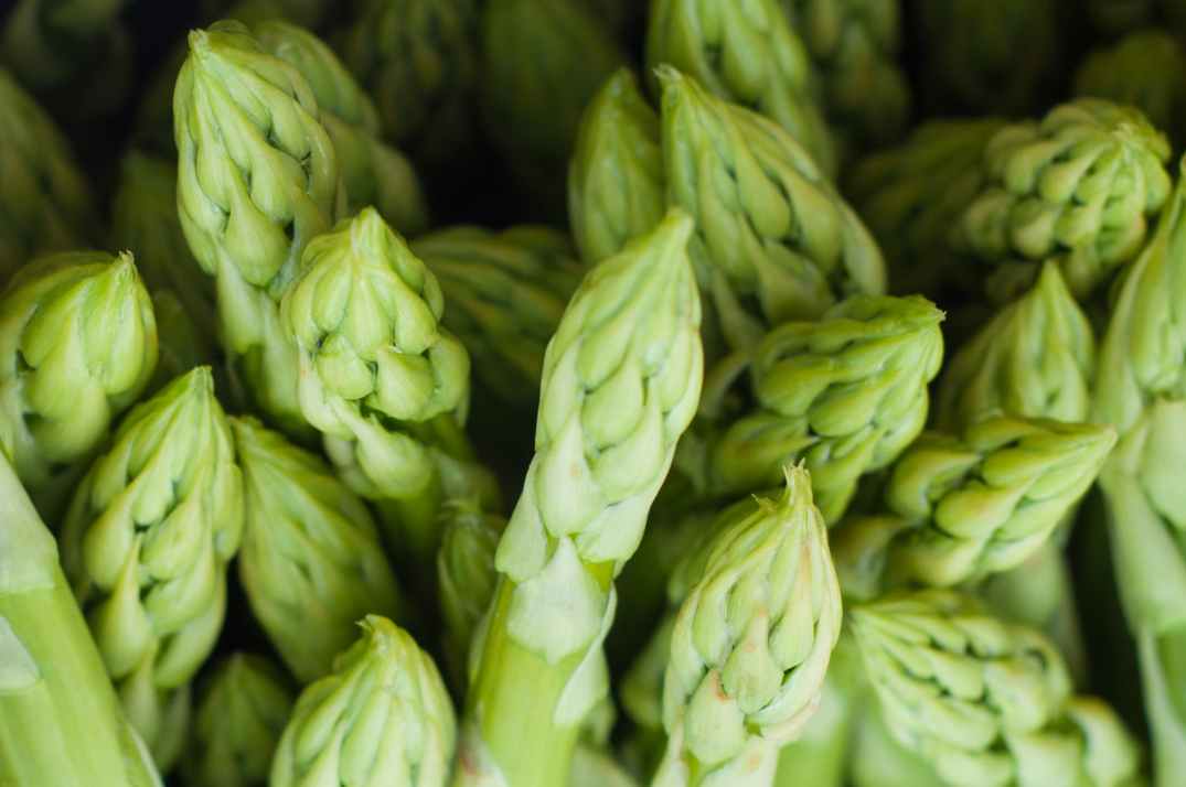 asparagus close up delicious food